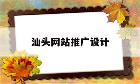 定制设计型网站案例_定制开发型网站案例_营销定制型网站案例--沈阳德泰诺网络科技公司