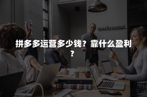 拼多多运营多少钱？靠什么盈利？-悠易科技CDP