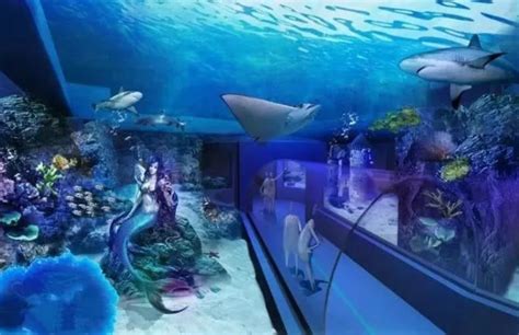 2021广州海洋馆-旅游攻略-门票-地址-问答-游记点评，广州旅游旅游景点推荐-去哪儿攻略