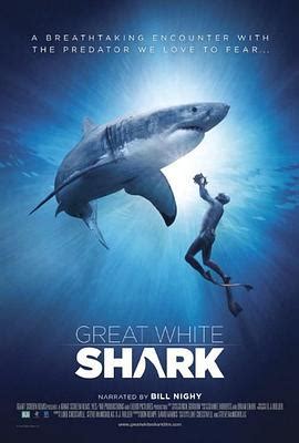 大白鲨-纪录片-高清版完整视频免费在线观看-爱看影院