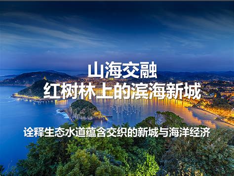 江门：银湖湾滨海新区机构框架基本成形，发展按下“快进键”|江门市|江门|滨海新区_新浪新闻