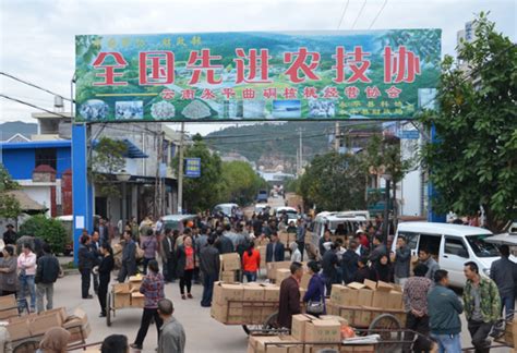 西藏林芝千年核桃树罕见，云南才是最大核桃贸易市场- 今日头条_赢家财富网