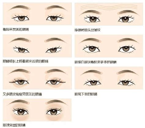 面相眉毛图解大全图片