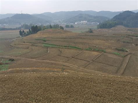 “十四五”期间重庆将改造提升202万亩高标准农田 土地综合产能预计提升10%