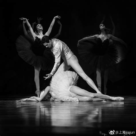 芭蕾舞的术语及最美芭蕾舞图 - 金玉米 | 专注热门资讯视频