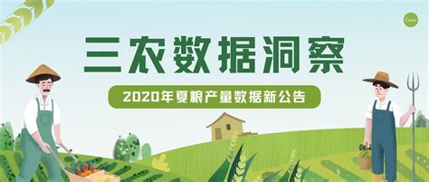 清新绿色聚焦三农农业问题宣传展板海报模板下载-千库网