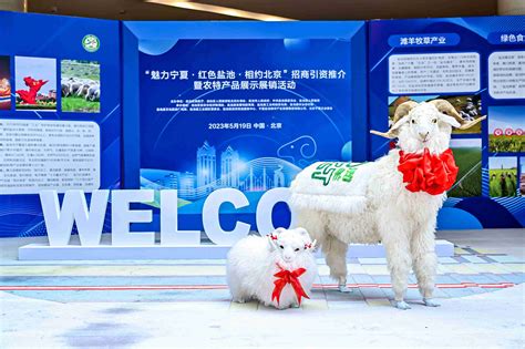 创新中国 - 宁夏盐池赴京招商展销，助推“六新六特六优”产业高质量发展