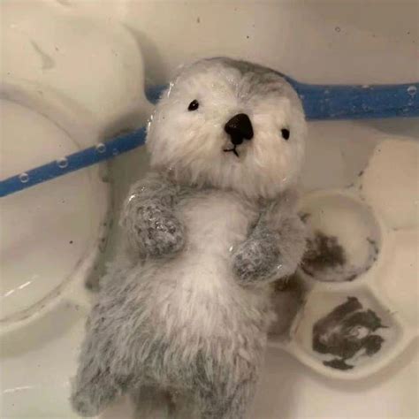 蓝色动物非主流头像