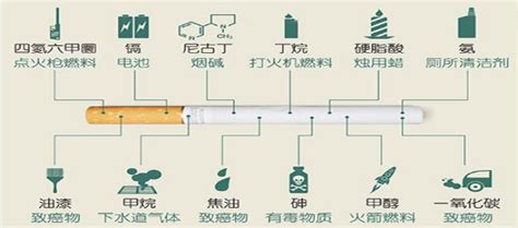中国烟草一年总收入(中国是全球最大的烟草生产和消费市场)-风水人