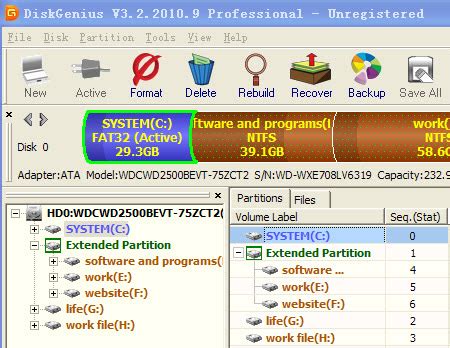 diskgenius专业版下载|diskgenius专业注册版v5.3.0.1066 64位免安装版 - 极光下载站