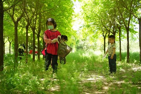 守护绿色家园 践行绿色生活理念 | 齐河：“森林小卫士”，童心守护绿色家园_德州24小时