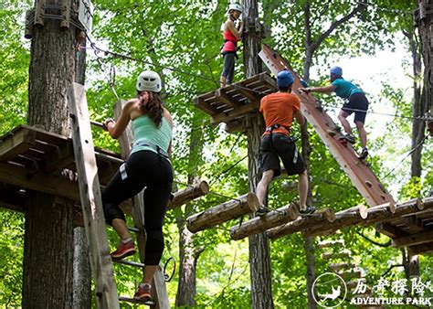 森林魔网景区公园亲子乐园软体攀爬组合历奇探险儿童无动力游乐设施-历奇探险