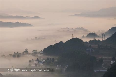 20221101苍溪白驿镇柳垭村01 - 苍溪最大的纪实图片网站 - 苍溪百科图库