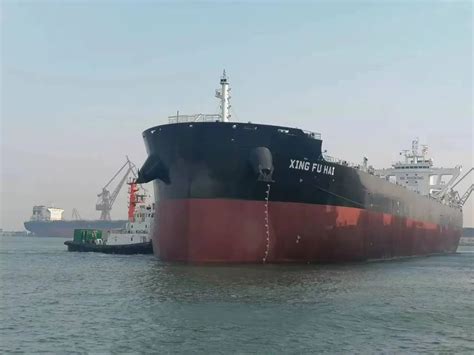 公司10艘21万载重吨干散货船项目船舶全部建成投入运营-山东海运股份有限公司