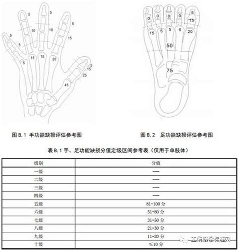 工伤：手足伤残的鉴定标准，一图秒懂几级伤残（敬请收藏）__凤凰网
