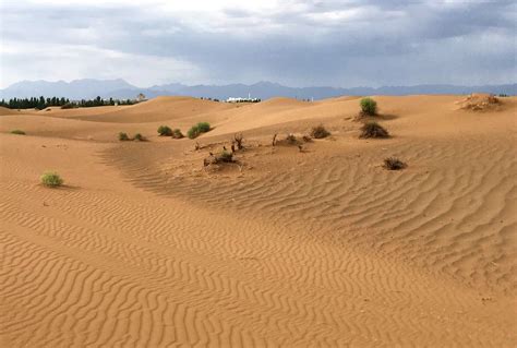 腾格里沙漠中的绿洲