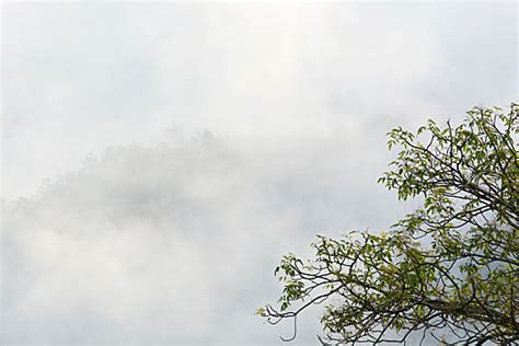 云中飘渺的世界高清图片下载-正版图片600500942-摄图网