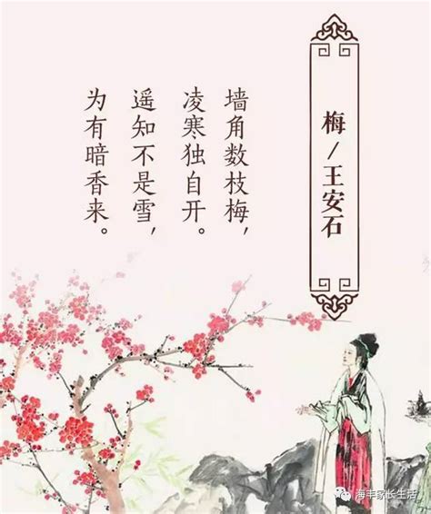 这十首梅花诗，不一定很有名，却很有韵味 - 日志 - 丁香雨 - 书画家园
