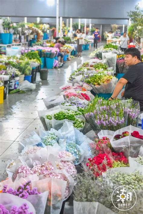 上海青浦鲜花批发市场,青浦区最大的花卉市场,上海花卉批发市场_大山谷图库