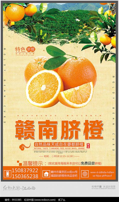 简约的赣南脐橙宣传海报素材_果蔬生鲜图片_餐饮美食图片_第18张_红动中国