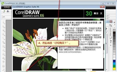 coreldraw x6破解版免费下载_CorelDraw x6(附序列码)中文破解版-88软件园