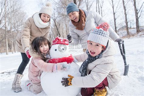 雪地里的干植物，冬天的花园。高清摄影大图-千库网