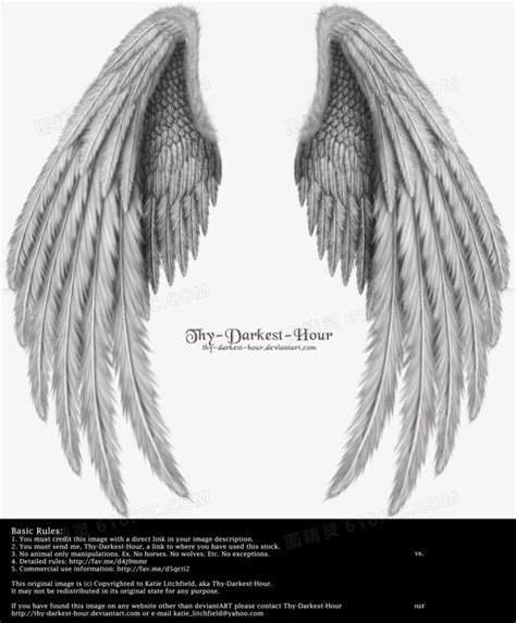 天使的单翼翅膀PNG图片素材下载_天使翅膀PNG_熊猫办公