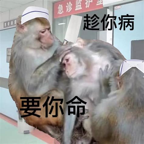 揉胸表情包图片