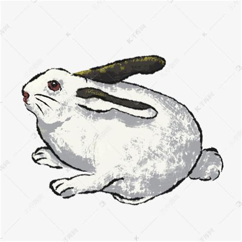 中国风古风水墨兔子兔年素材图片免费下载-千库网