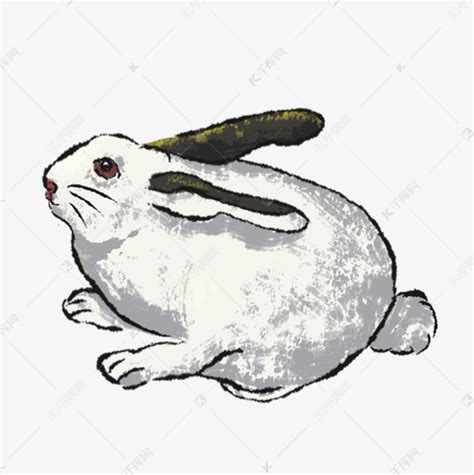 古风小兔子头像女生图片