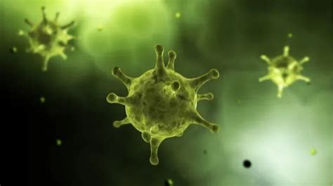 新冠病毒发现新变种XE，两种奥密克戎重组而成，传播速度更快10%|新冠肺炎_新浪新闻