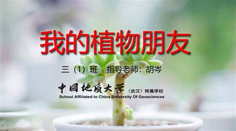 我的植物朋友（三1班优秀作文展）-中国地质大学（武汉）附属学校