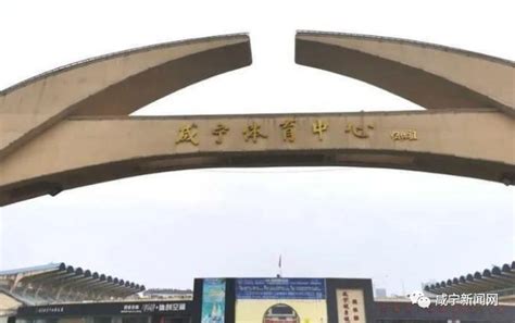 城发集团组织党员参观闯王文化园-咸宁城市发展（集团）有限责任公司