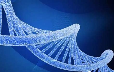易感基因检测——把握健康人生 | 普瑞迈德 PREMED