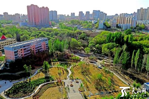 美丽新疆丨河润伊州 向绿而歌 -天山网 - 新疆新闻门户