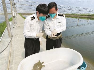 广州的黄沙水产市场和五湖四海水产市场，哪里的海鲜卖的比较便宜？五湖四海那里的饭店可不可以加工海鲜？-