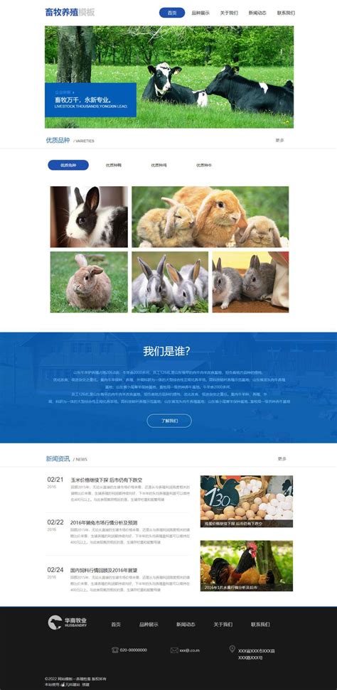 生猪养殖政策设计图__展板模板_广告设计_设计图库_昵图网nipic.com