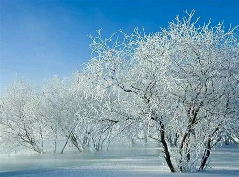 关于小雪节气的古诗词大全 描写小雪的古诗有哪些 _八宝网