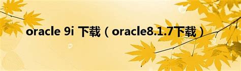 oracle 9i 安装 教程图解 - 新云软件园