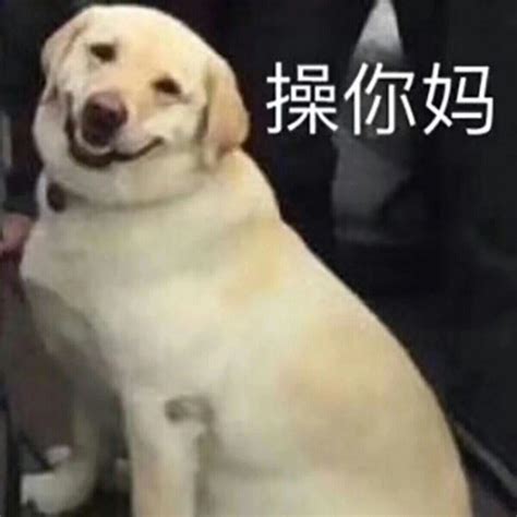 恶搞图片