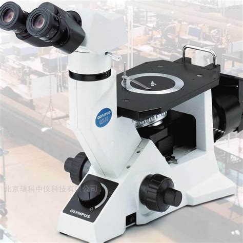 olympus显微镜中国公司 奥林巴斯GX51-奥林巴斯中国-化工仪器网