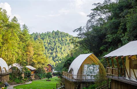 树屋、房车、鸟巢、帐篷——山野间的极致野奢民宿
