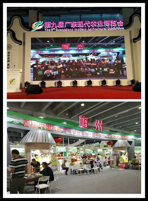 杭州乐源饮料有限公司提供西梅饮 - FoodTalks食品供需平台