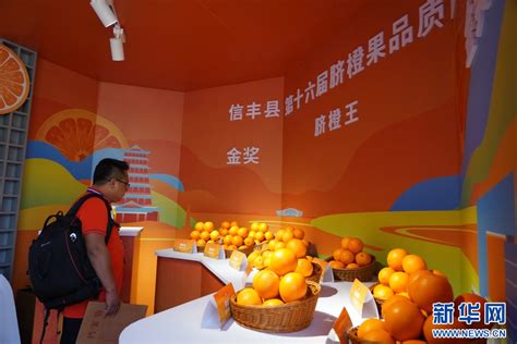 2020年赣南脐橙网络博览会开幕 - 新闻资讯 - 信丰脐橙网