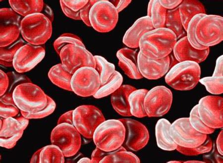 A型血与B型血生出来的孩子是什么血型？-A型血和B型血的夫妻能生出什么样血型的孩子? _感人网
