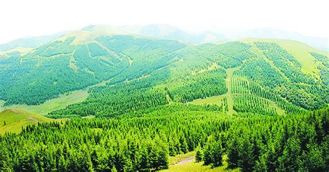 14个国有林场将变身公园 昆明绿色福利来了 - 中国公园
