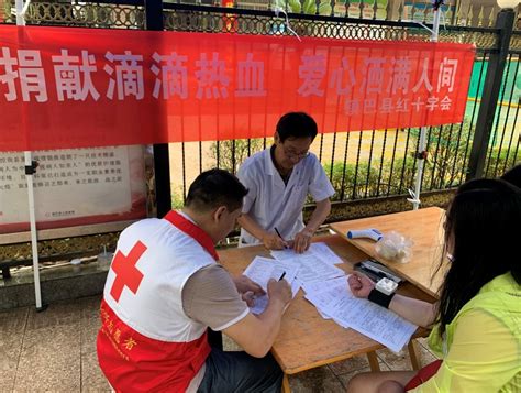 镇巴县红十字会积极开展无偿献血活动-汉中市红十字会
