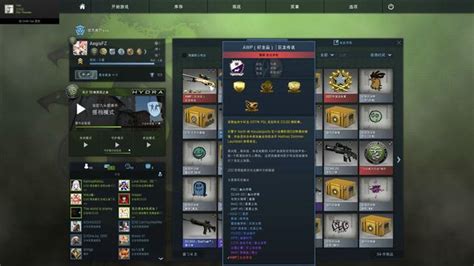 很喜欢csgo玩家的一句话 啊？什么意思_9万个为什么