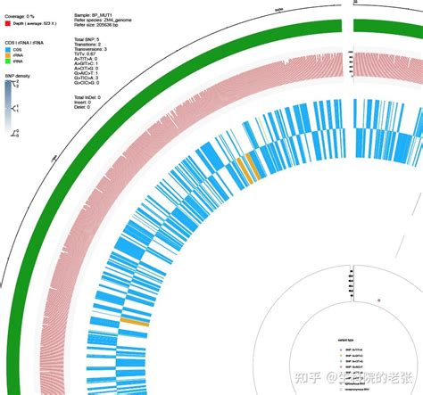 snapgene怎么比对序列_2020年-基因家族分析文章怎么发！-CSDN博客
