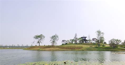 清涟人的520是水清草绿| 武汉杜公湖国家湿地公园-上海清涟环境科技有限公司